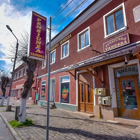Pensiunea Vanessa Făgăraş Kültér fotó