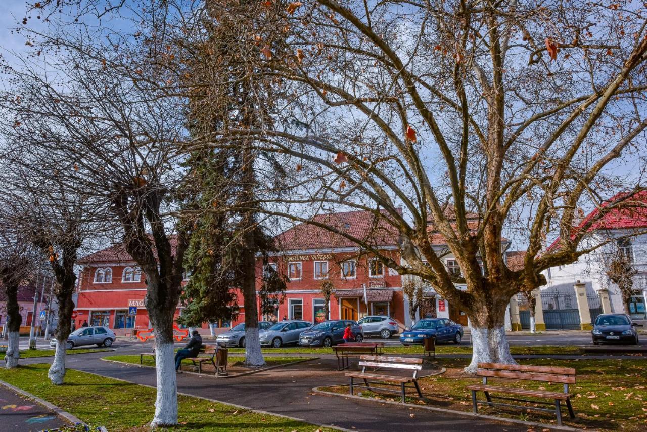 Pensiunea Vanessa Făgăraş Kültér fotó